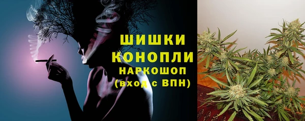 соль ск Арсеньев